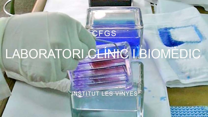 MATRÍCULA ALUMNES CFGS Laboratori diagnòstic clínic i biomèdic CURS 2025/2026
